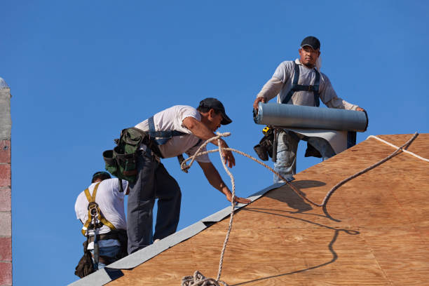 Best Roof Maintenance Services  in Greilickville, MI